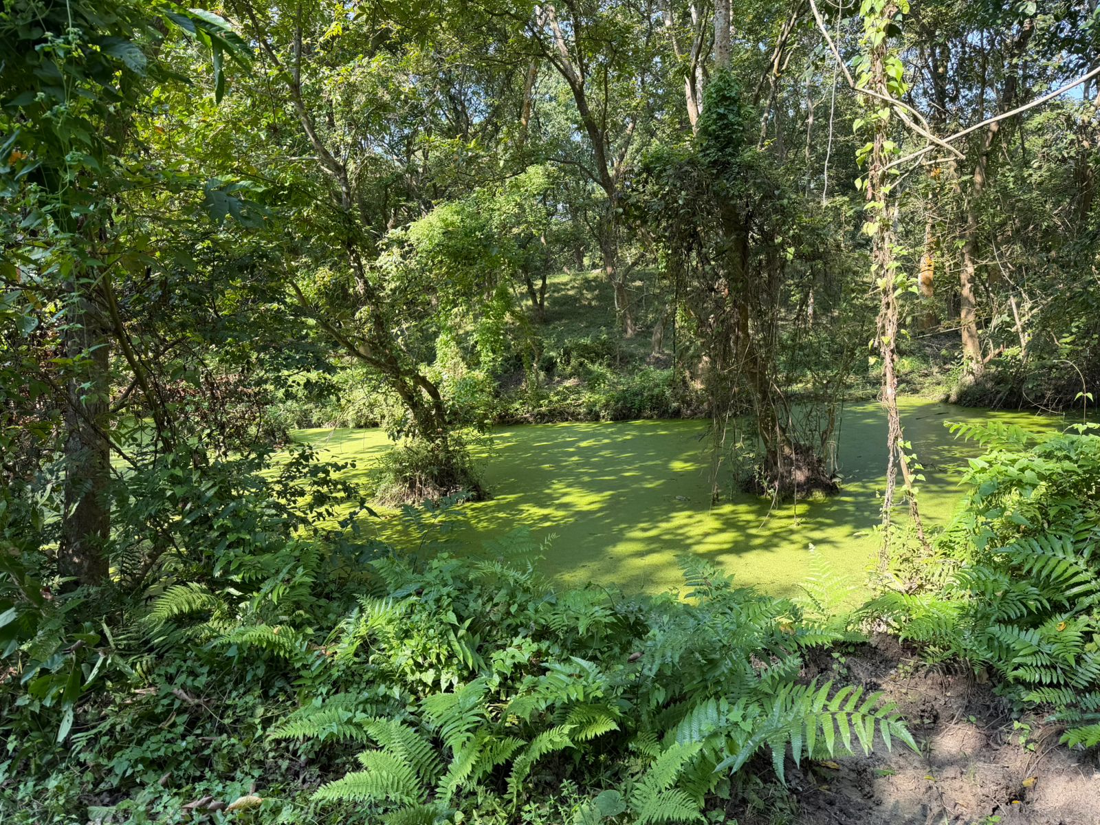 WhatsApp Image 2025-11-11 at 4.27.39 PM