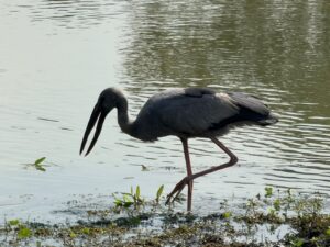 WhatsApp Image 2025-11-11 at 4.27.43 PM