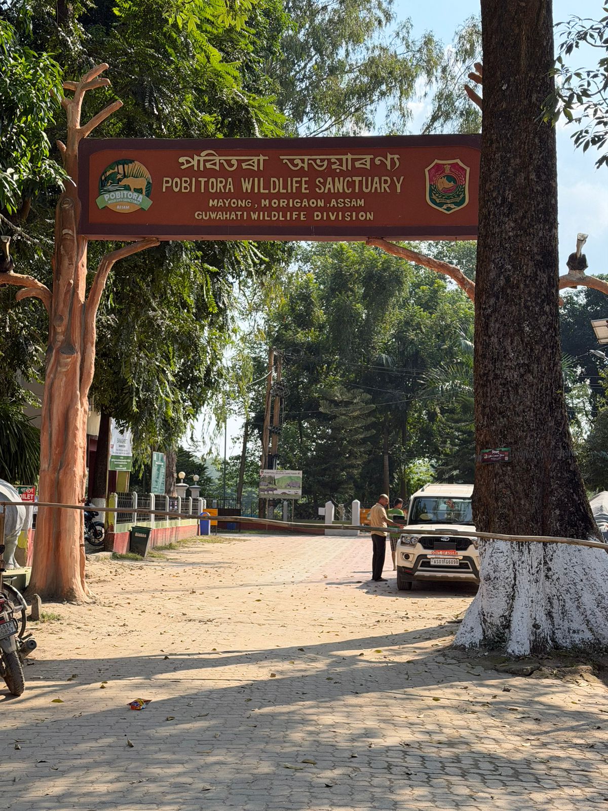 WhatsApp Image 2025-11-11 at 4.27.45 PM