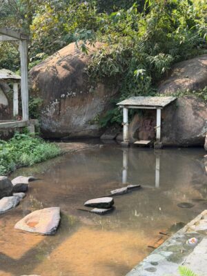 WhatsApp Image 2025-11-12 at 3.07.11 PM (1)