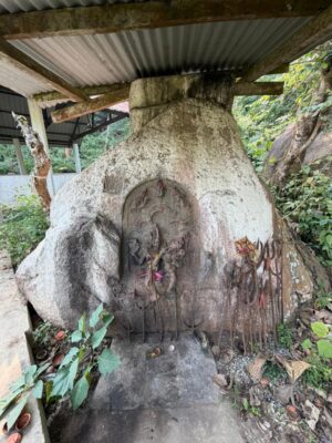 WhatsApp Image 2025-11-12 at 3.07.13 PM (1)