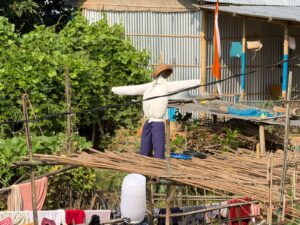 WhatsApp Image 2025-11-13 at 6.27.44 PM