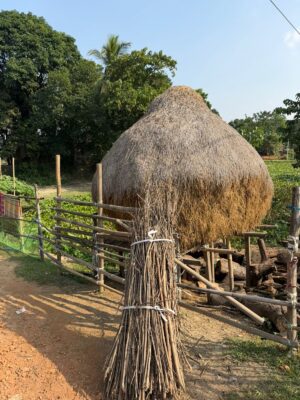 WhatsApp Image 2025-11-13 at 6.27.46 PM