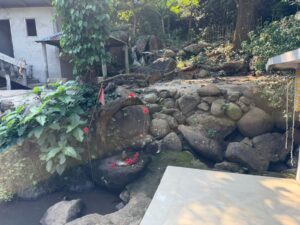 WhatsApp Image 2025-11-14 at 6.20.03 PM (1)