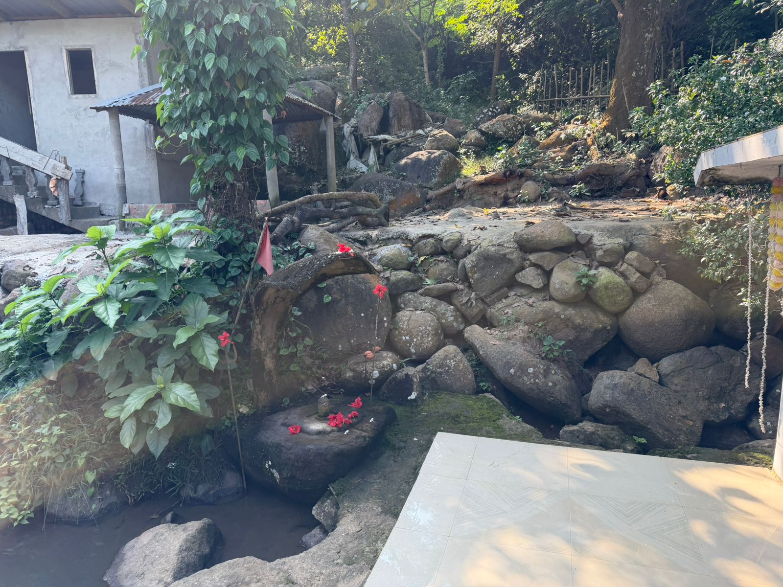 WhatsApp Image 2025-11-14 at 6.20.03 PM (1)