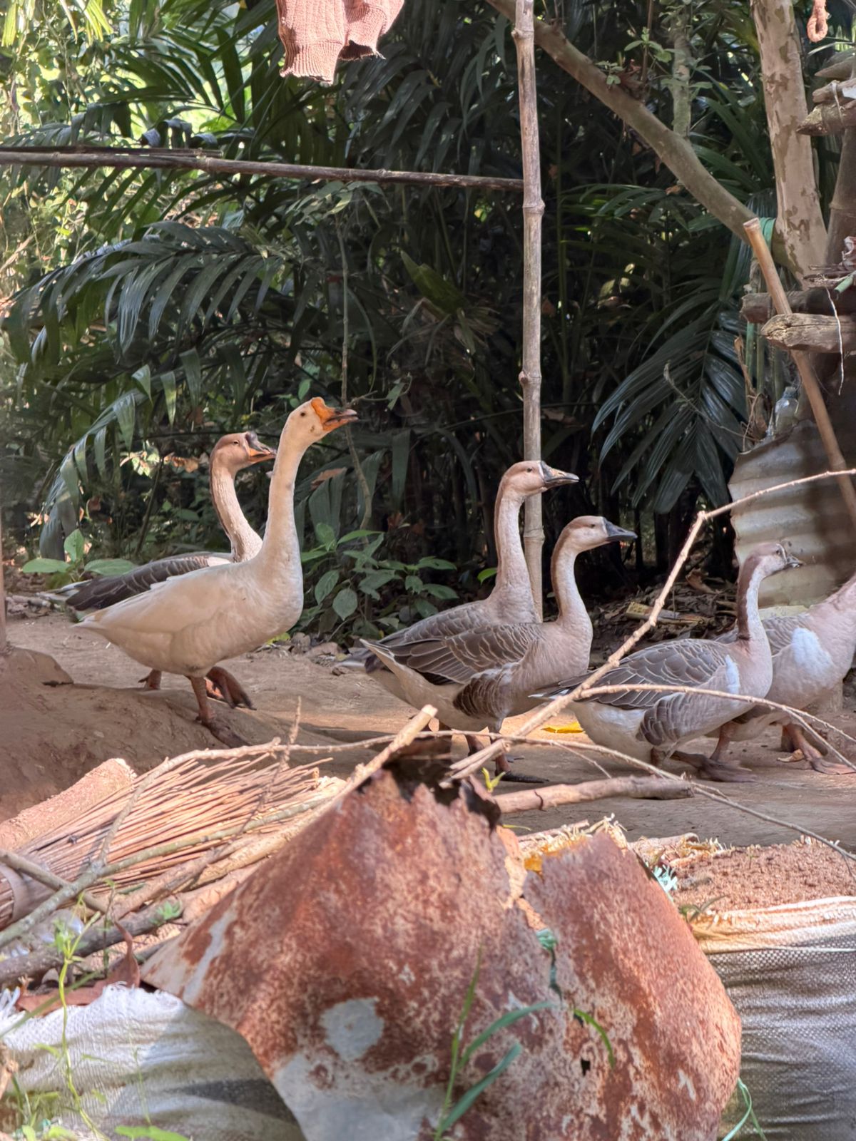 WhatsApp Image 2025-11-14 at 6.20.07 PM