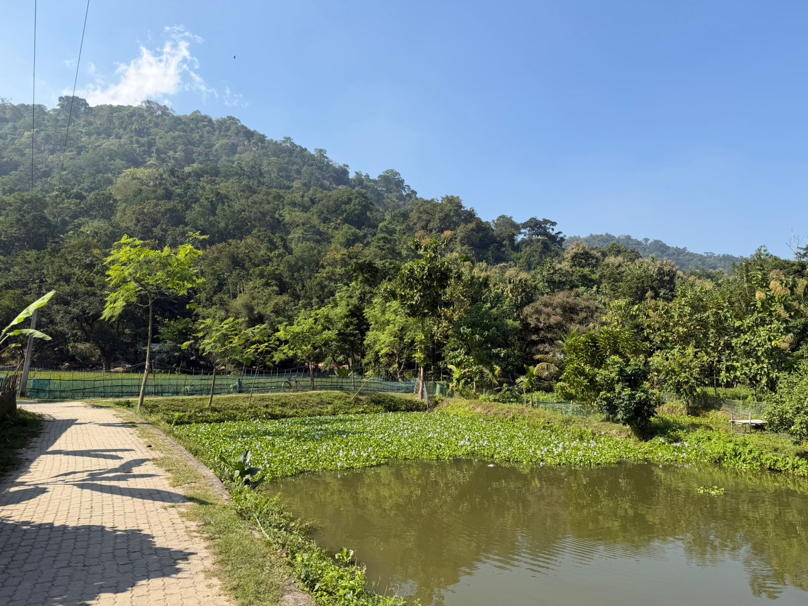 WhatsApp Image 2025-11-14 at 6.20.09 PM