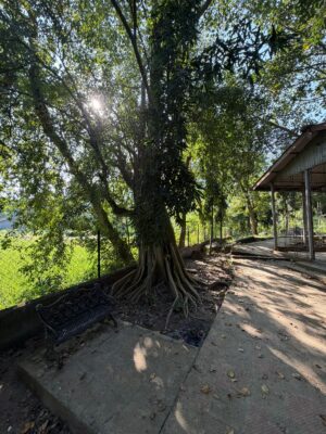 WhatsApp Image 2025-11-15 at 7.32.14 PM