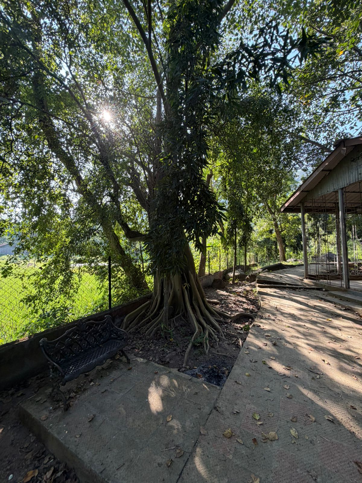 WhatsApp Image 2025-11-15 at 7.32.14 PM