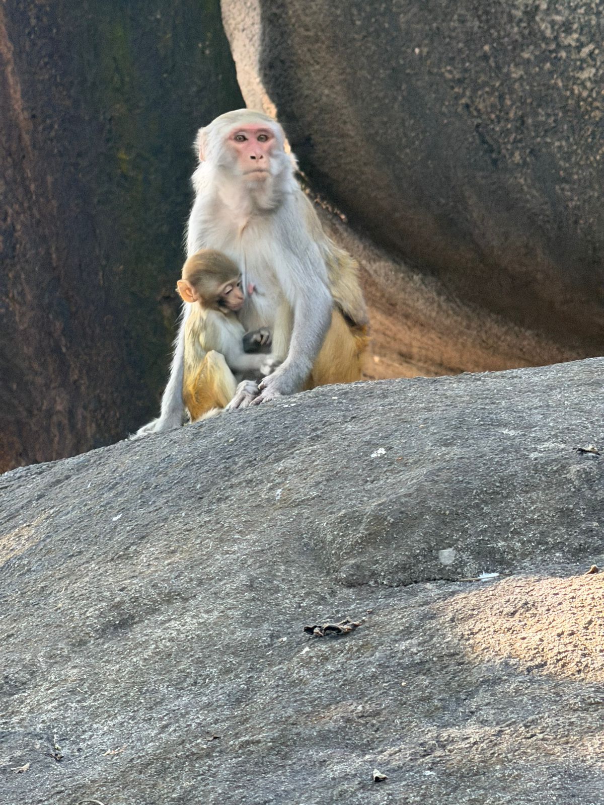 WhatsApp Image 2025-11-15 at 8.43.44 PM (1)