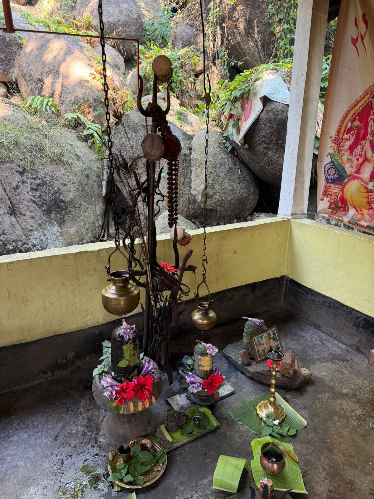 WhatsApp Image 2025-11-15 at 8.43.47 PM