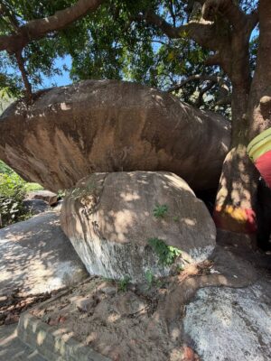 WhatsApp Image 2025-11-15 at 8.43.49 PM