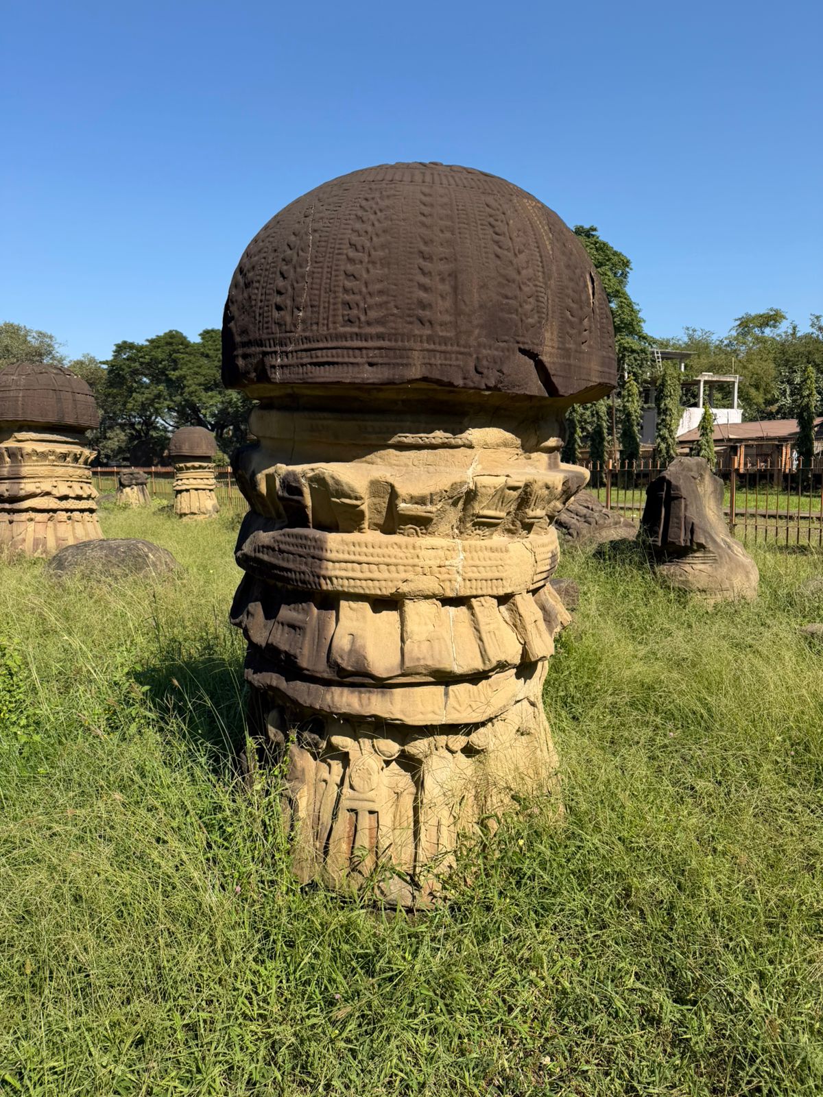 WhatsApp Image 2025-11-18 at 9.00.44 PM