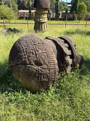 WhatsApp Image 2025-11-18 at 9.00.46 PM