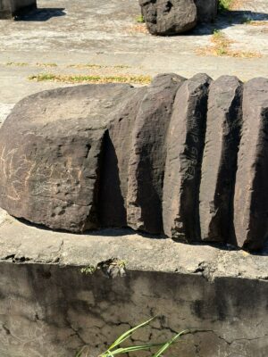 WhatsApp Image 2025-11-18 at 9.00.50 PM