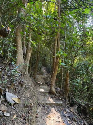 WhatsApp Image 2025-11-19 at 4.27.23 PM