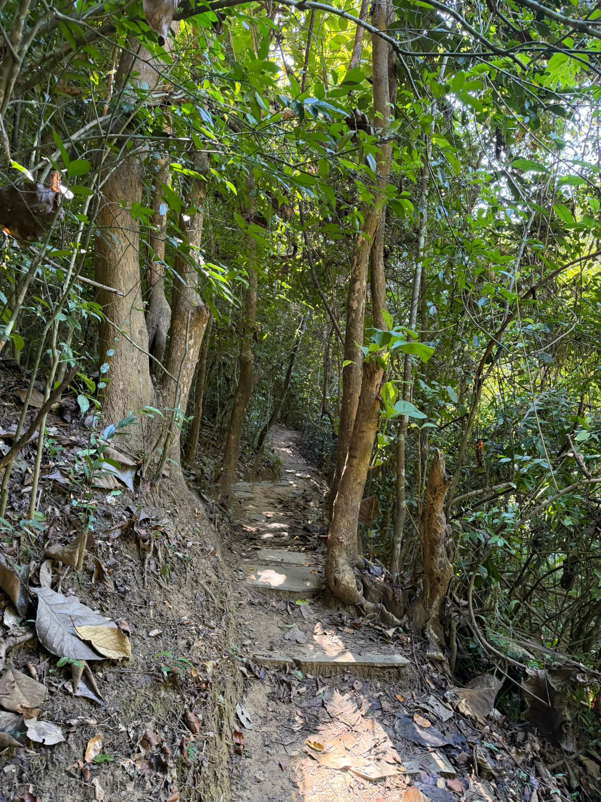 WhatsApp Image 2025-11-19 at 4.27.23 PM