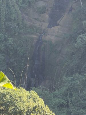 WhatsApp Image 2025-11-20 at 7.42.44 PM