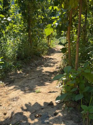 WhatsApp Image 2025-11-20 at 7.42.46 PM