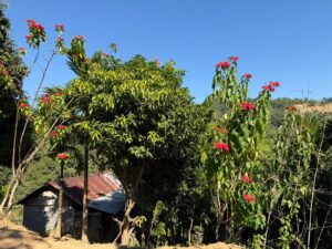 WhatsApp Image 2025-11-20 at 7.42.48 PM