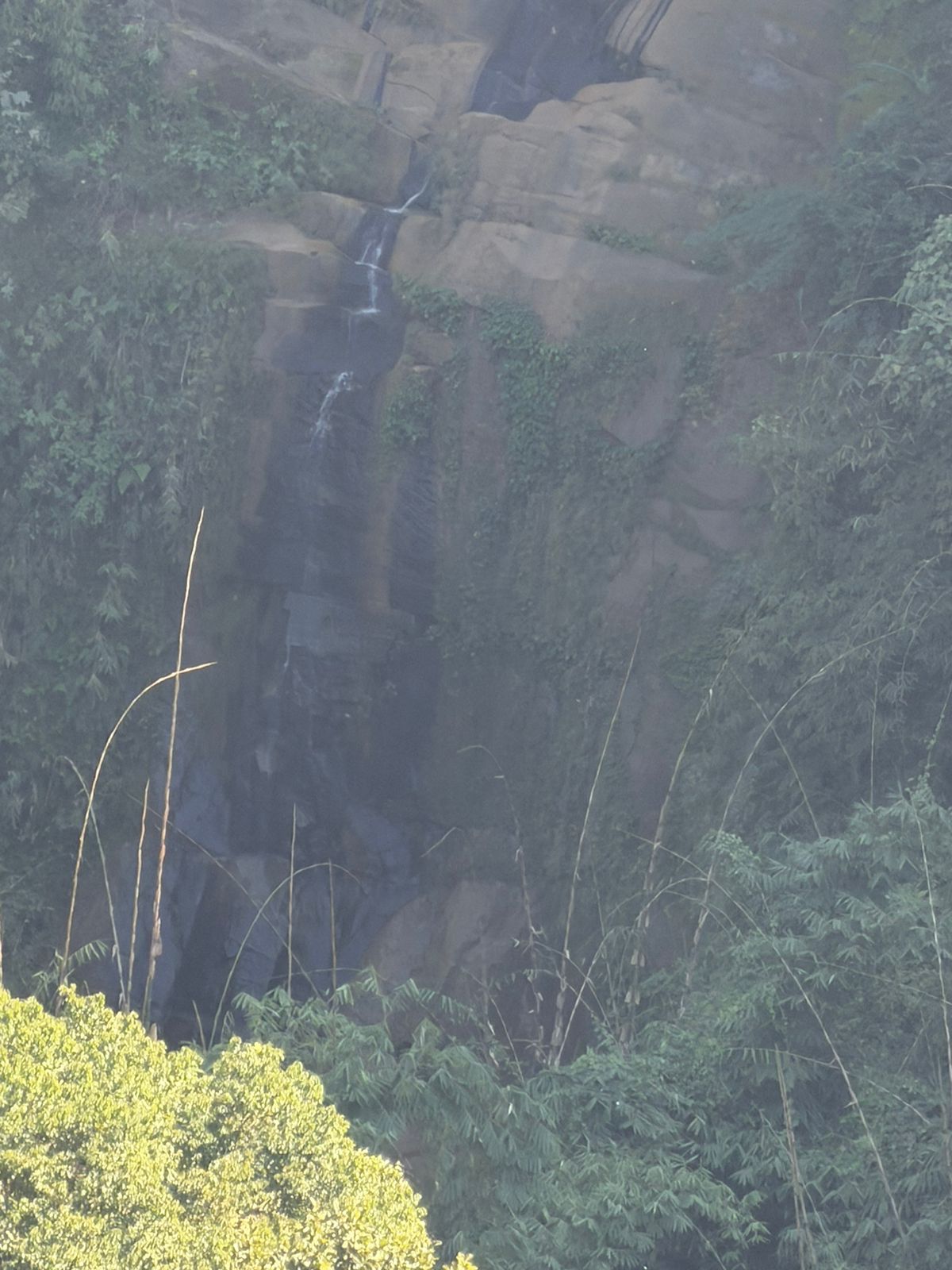 WhatsApp Image 2025-11-20 at 7.42.49 PM