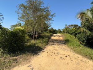 WhatsApp Image 2025-11-20 at 7.42.50 PM