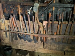 WhatsApp Image 2025-11-26 at 6.57.52 PM (1)