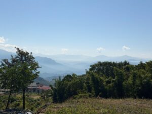 WhatsApp Image 2025-11-27 at 10.59.02 AM