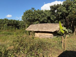 WhatsApp Image 2025-11-27 at 9.33.13 PM