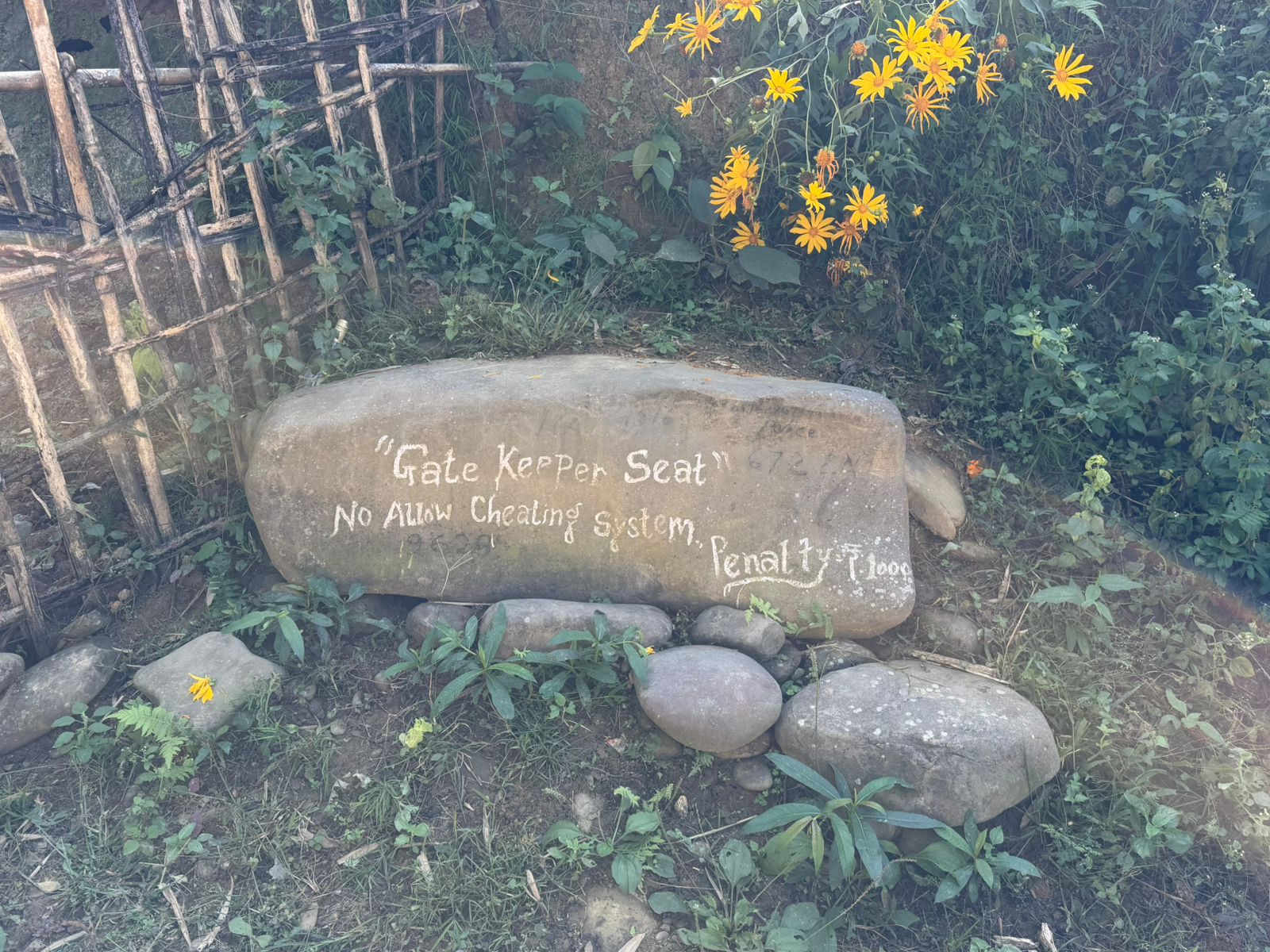 WhatsApp Image 2025-11-27 at 9.33.16 PM