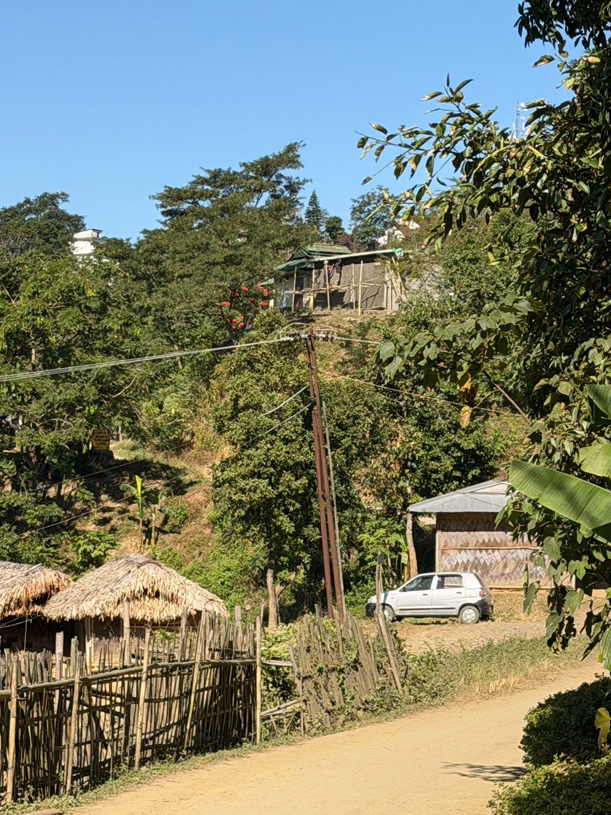 WhatsApp Image 2025-11-28 at 12.09.58 PM