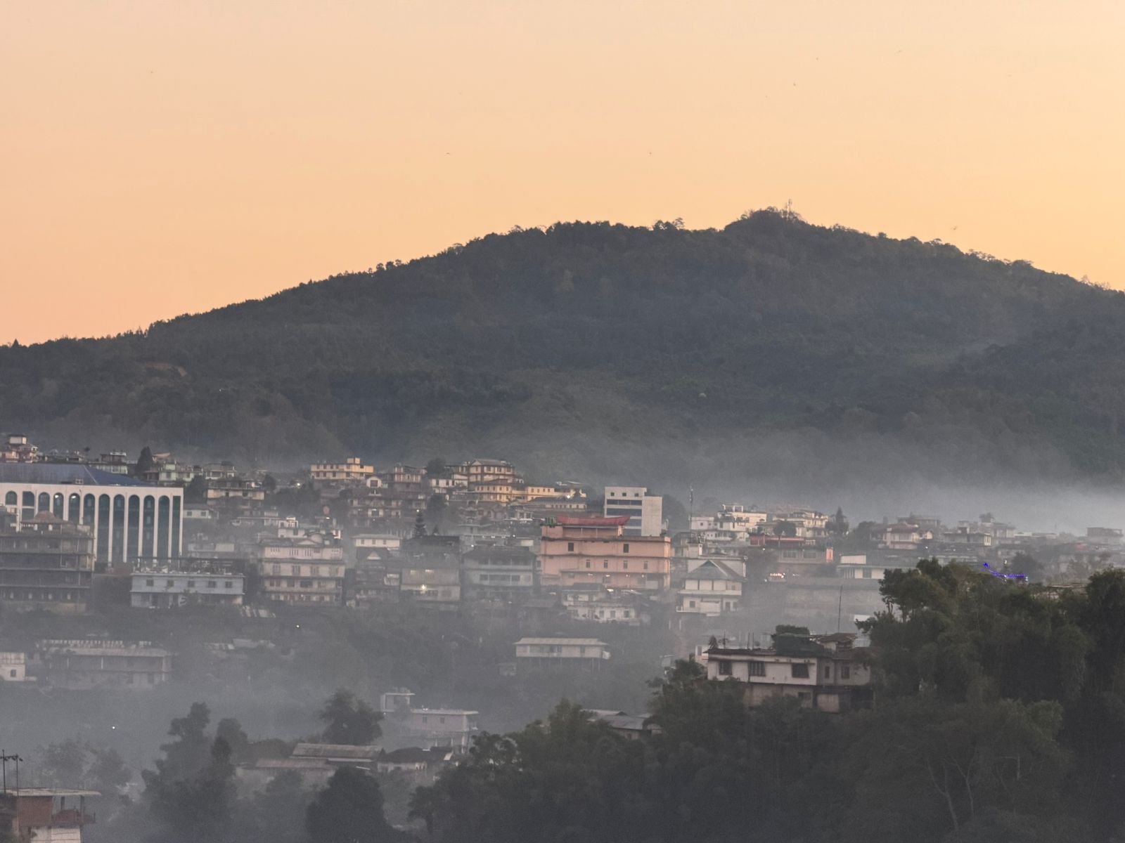 WhatsApp Image 2025-11-28 at 7.43.29 PM