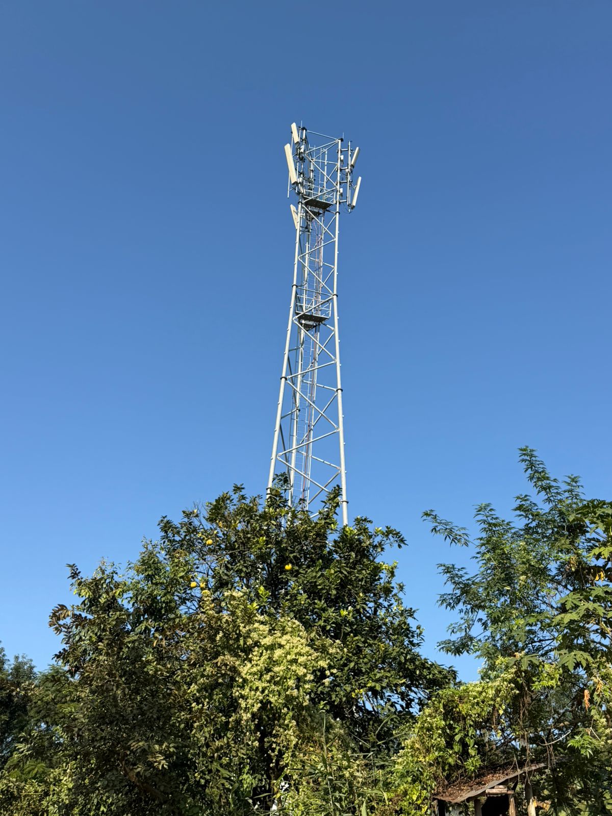 WhatsApp Image 2025-11-30 at 11.12.31 AM