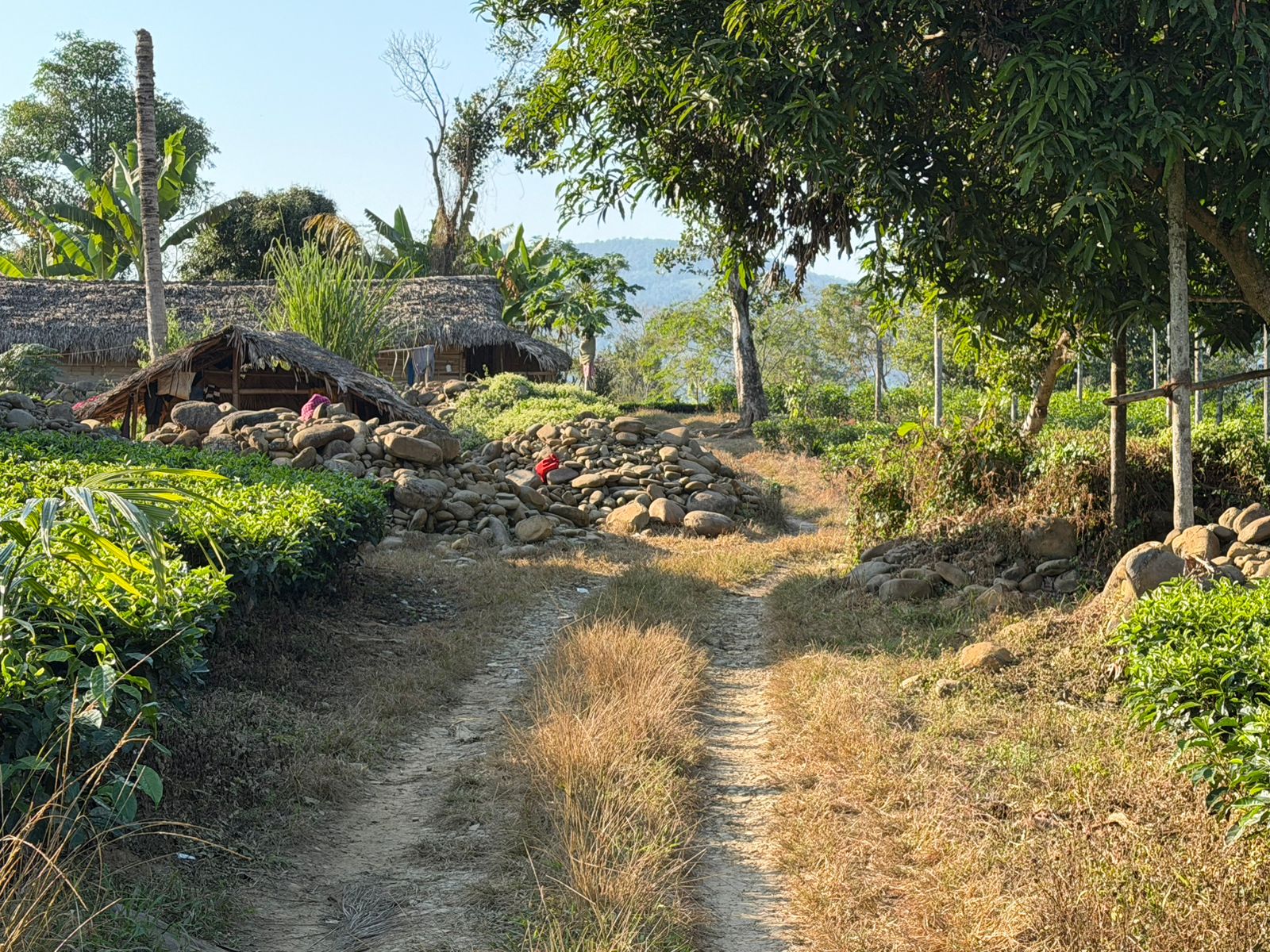 WhatsApp Image 2025-11-30 at 11.12.32 AM