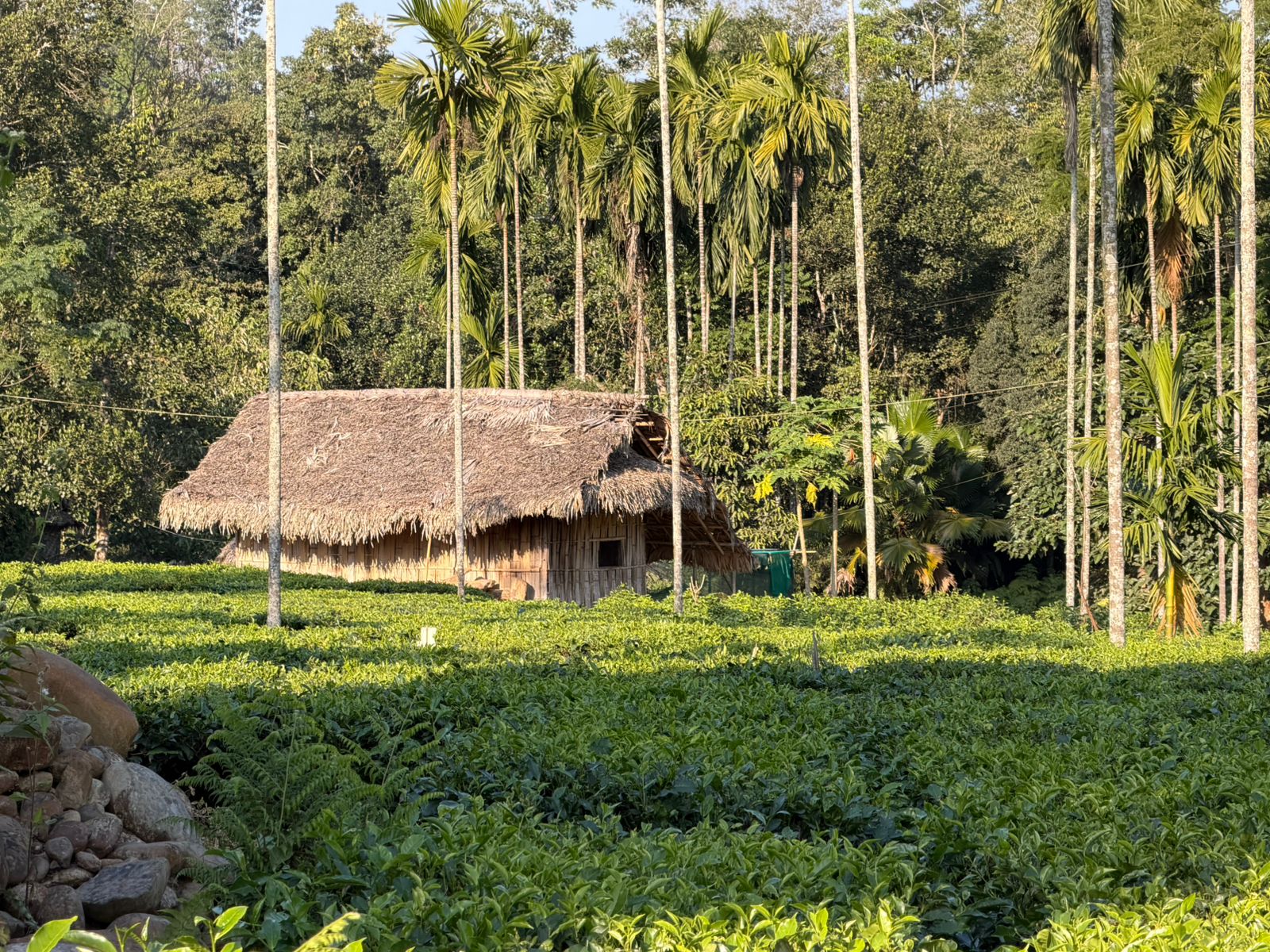 WhatsApp Image 2025-11-30 at 11.12.33 AM (1)