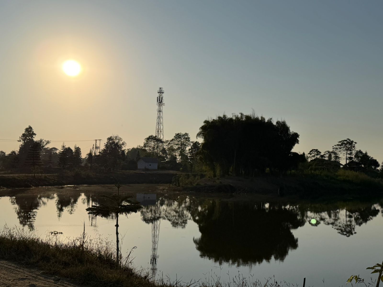 WhatsApp Image 2025-11-30 at 11.12.38 AM