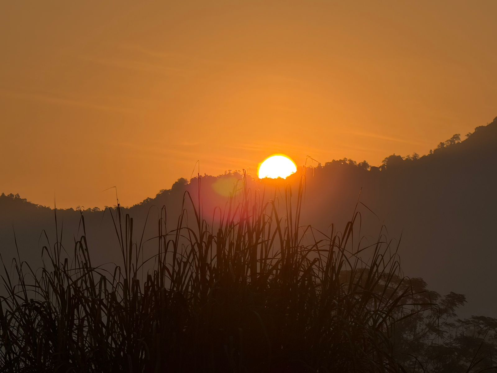 WhatsApp Image 2025-12-01 at 7.08.16 PM (1)