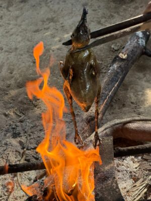 WhatsApp Image 2025-12-02 at 3.01.49 PM