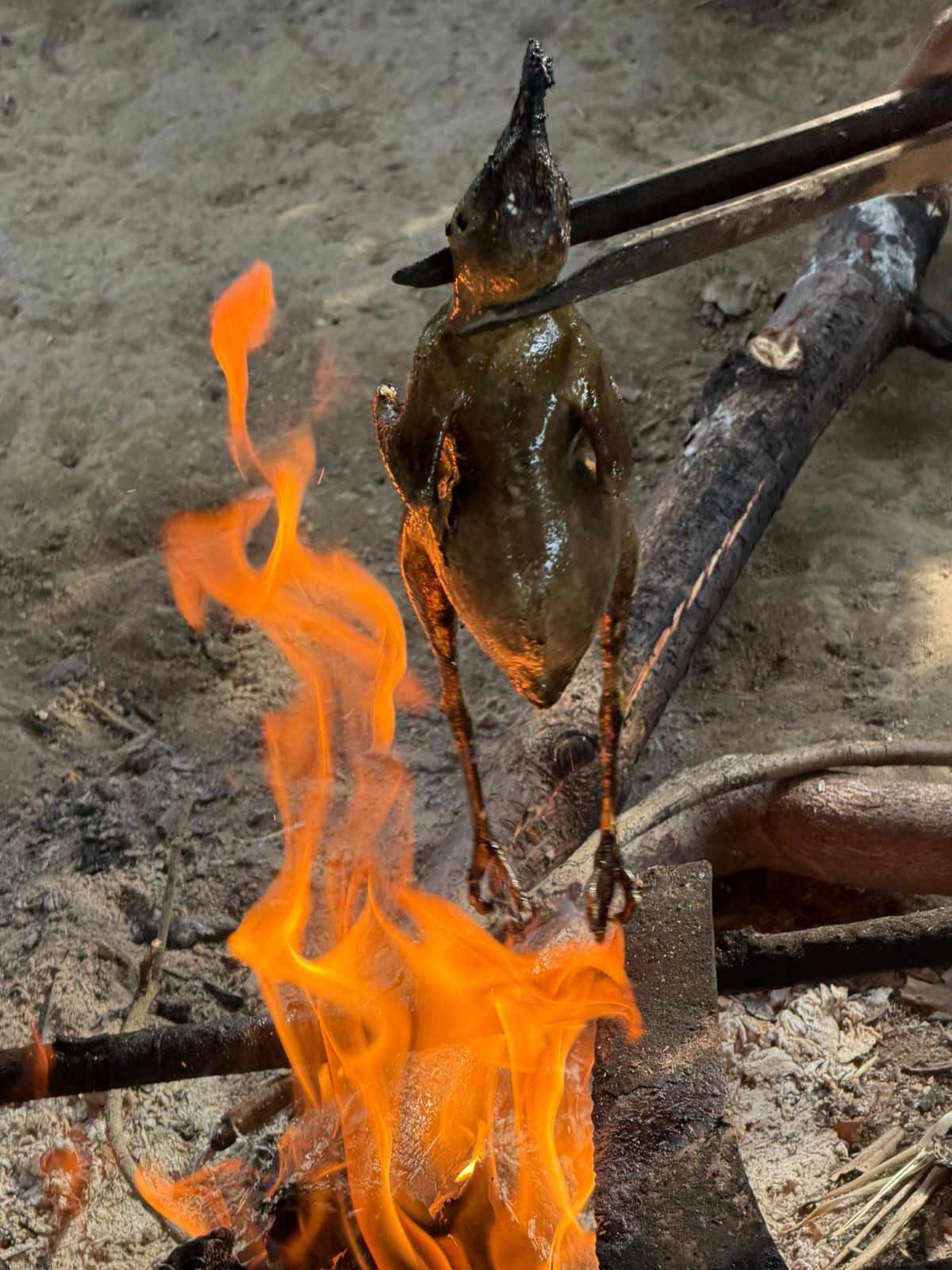 WhatsApp Image 2025-12-02 at 3.01.49 PM