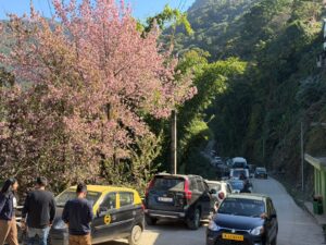 WhatsApp Image 2025-12-06 at 6.35.57 PM