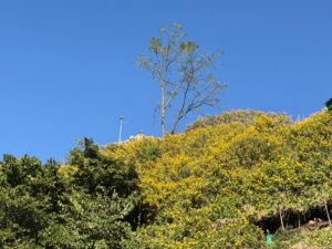 WhatsApp Image 2025-12-06 at 6.35.59 PM