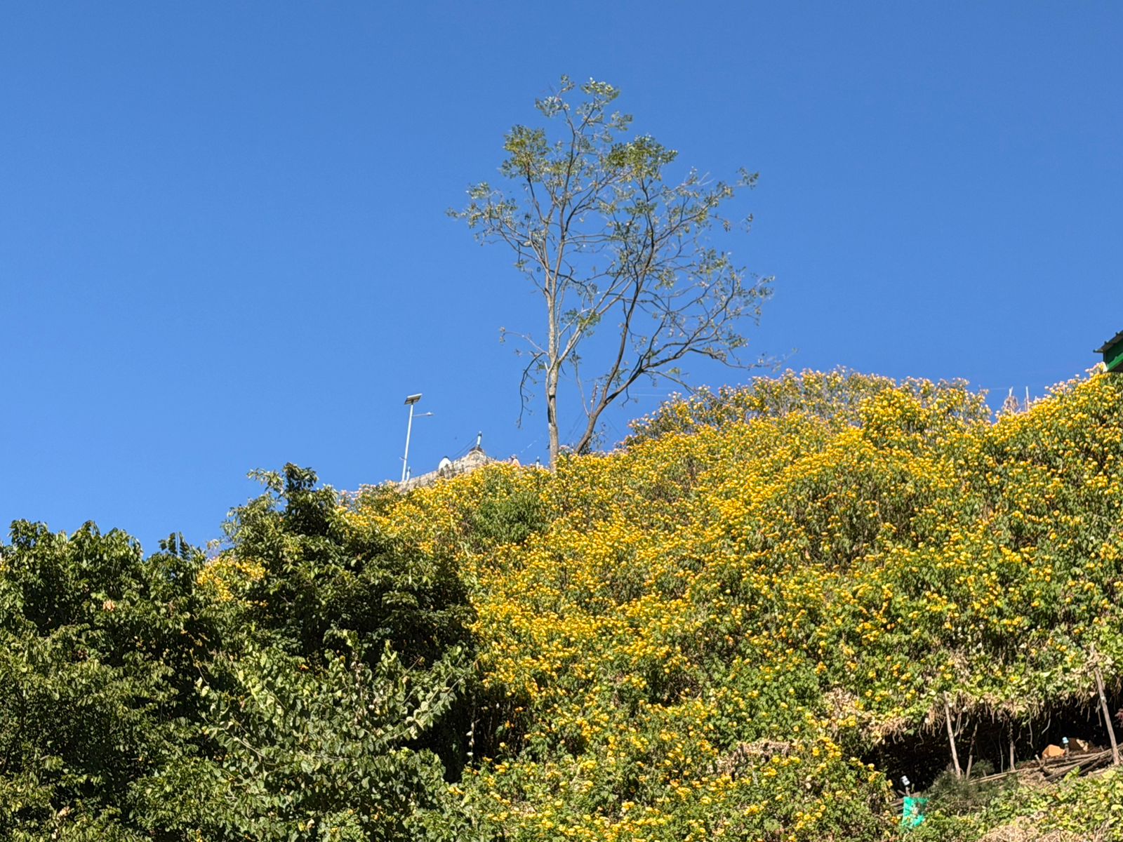 WhatsApp Image 2025-12-06 at 6.35.59 PM