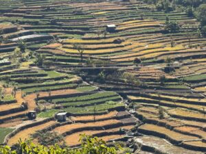 WhatsApp Image 2025-12-06 at 6.36.00 PM