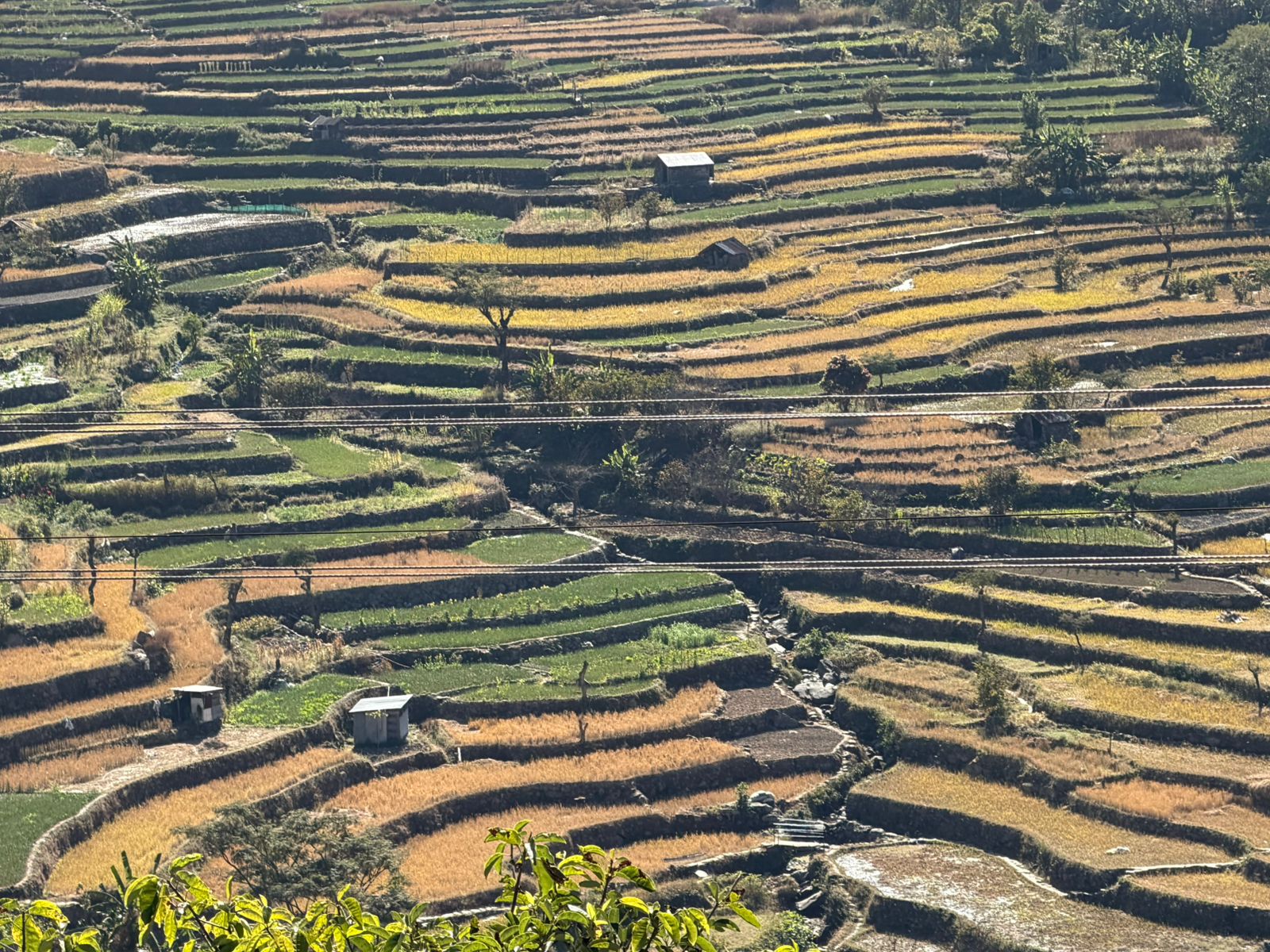 WhatsApp Image 2025-12-06 at 6.36.00 PM