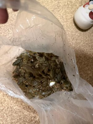 WhatsApp Image 2025-12-06 at 9.12.18 AM