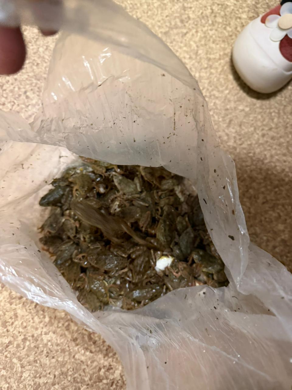 WhatsApp Image 2025-12-06 at 9.12.18 AM