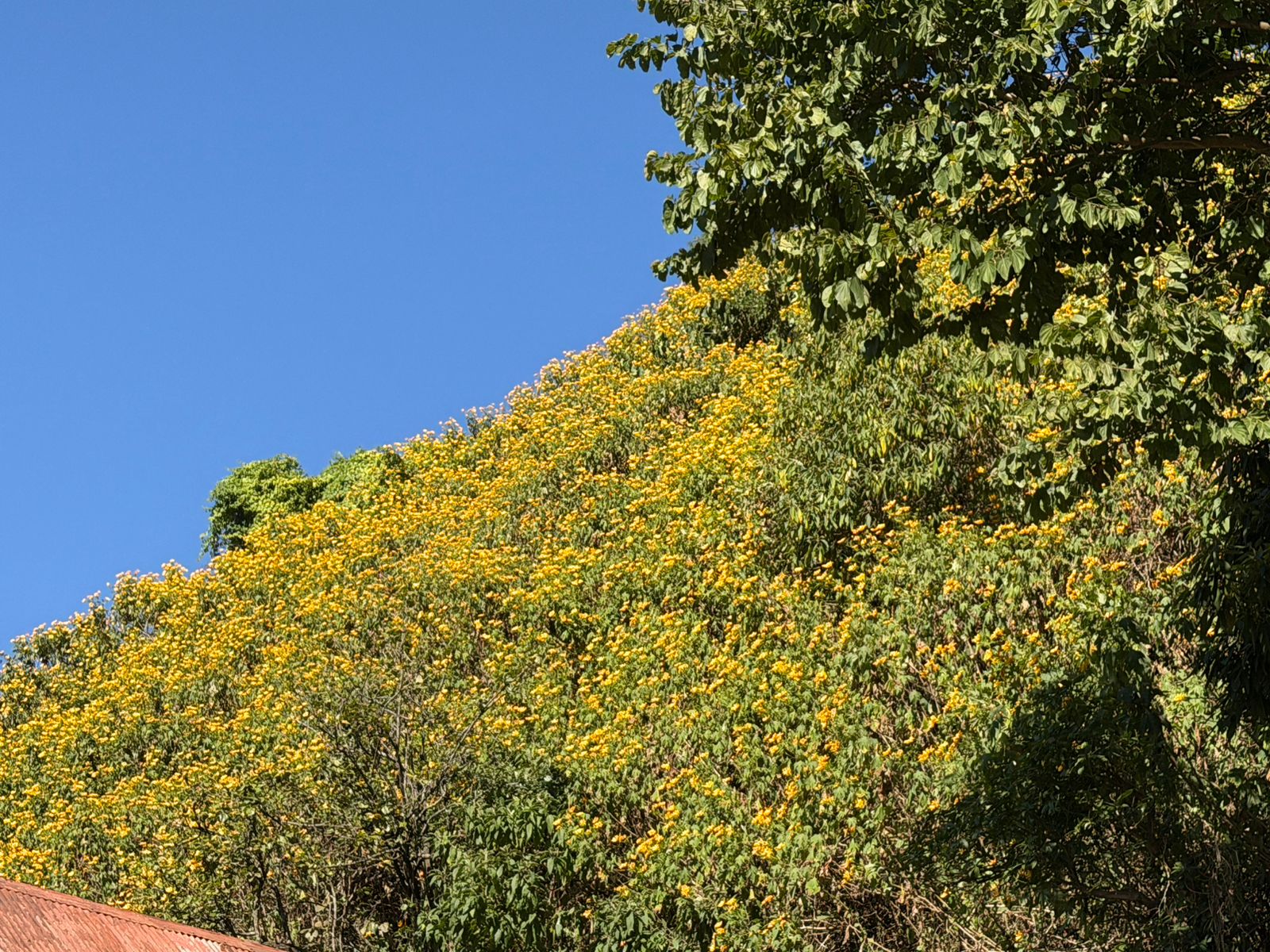 WhatsApp Image 2025-12-07 at 11.48.04 AM (2)