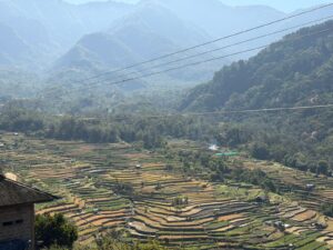 WhatsApp Image 2025-12-07 at 11.48.05 AM (1)