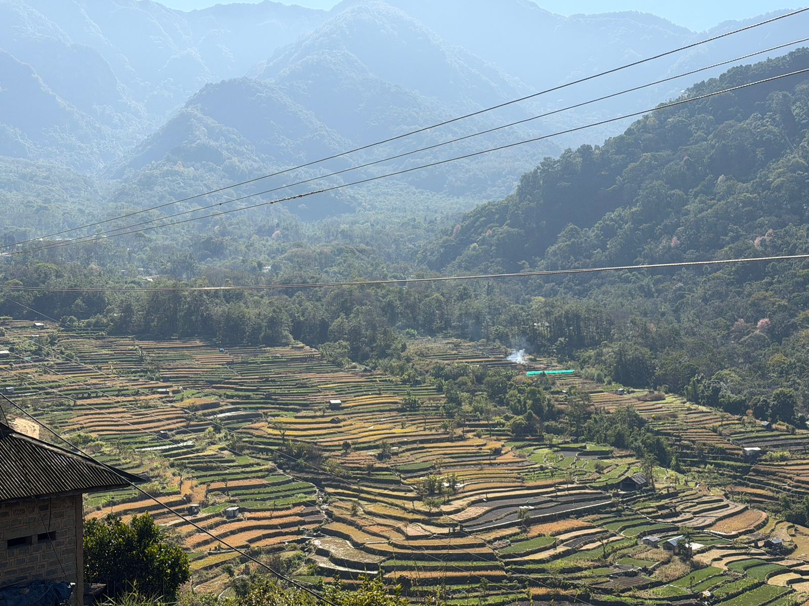 WhatsApp Image 2025-12-07 at 11.48.05 AM (1)