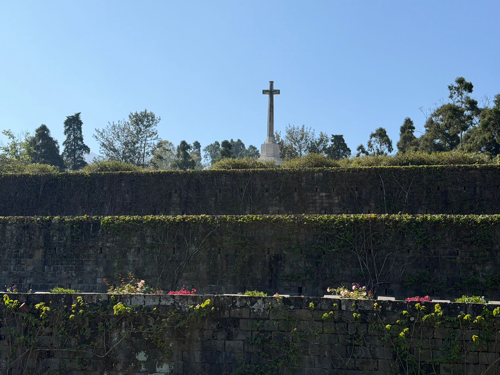 WhatsApp Image 2025-12-07 at 12.21.02 PM